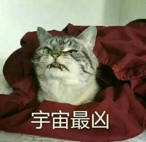 教师面试视频示范全过程英语,幼儿园教师面试过程