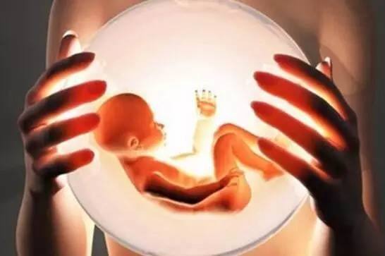 人造子宫需要女性的卵子吗,人造子宫女性地位影响