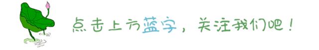 红刊财经简介,红刊财经分享