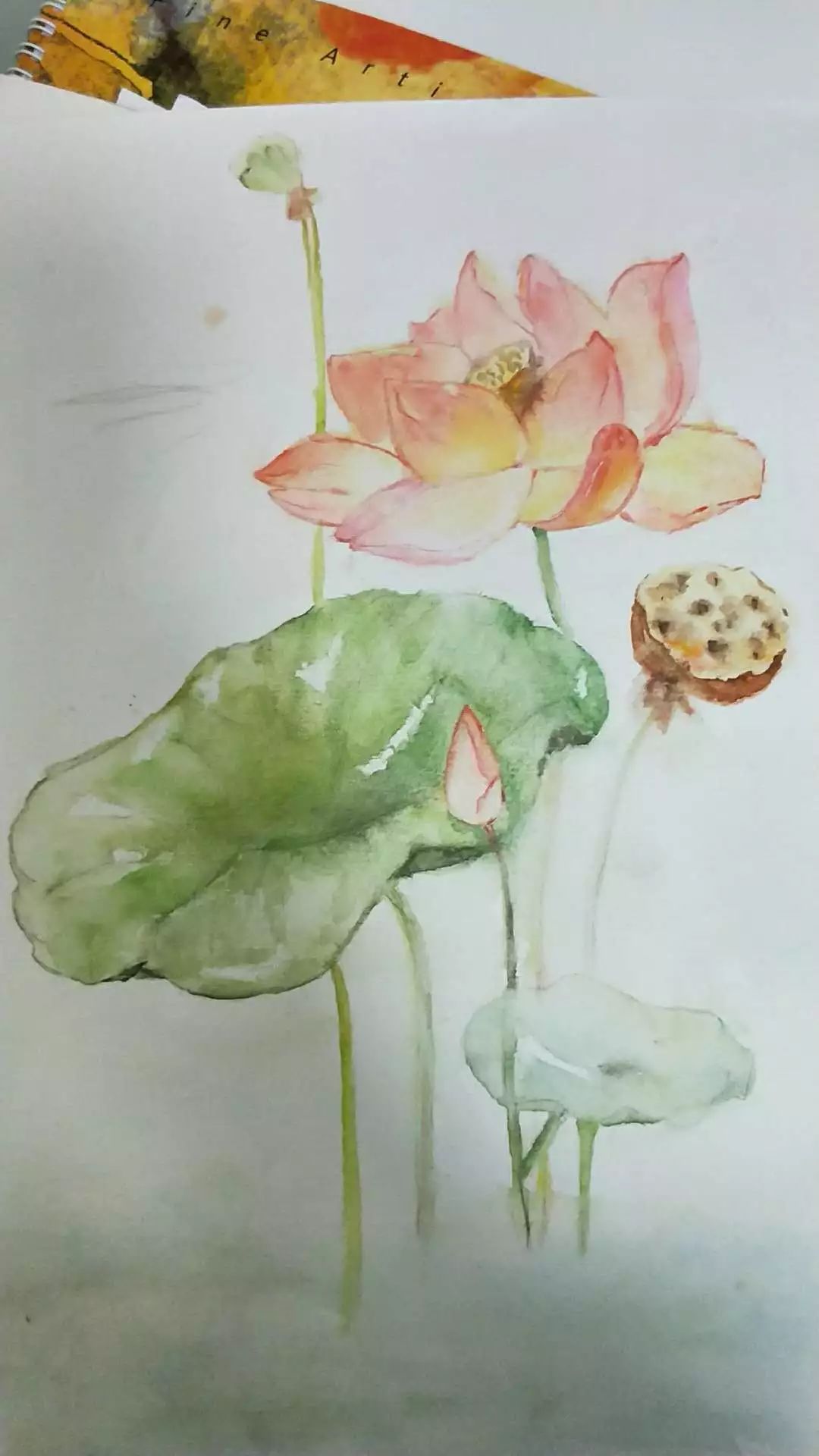 绘画是能够陪伴一生的兴趣,绘画让人心神安宁找寻自我