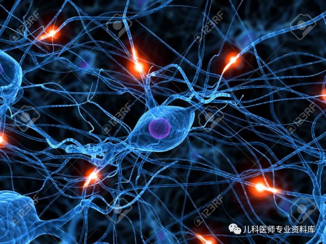 到底如何给孩子补充DHA呢？你要知道这20条