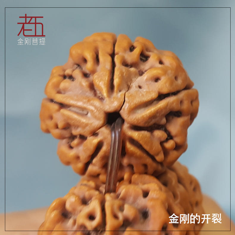 怎样挑选金刚菩提,怎么挑选金刚菩提手串