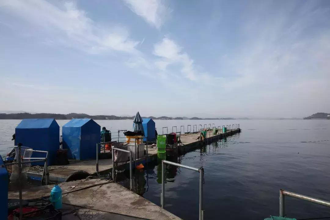 合肥周边避暑好去处,合肥周边夏天避暑最佳旅游地