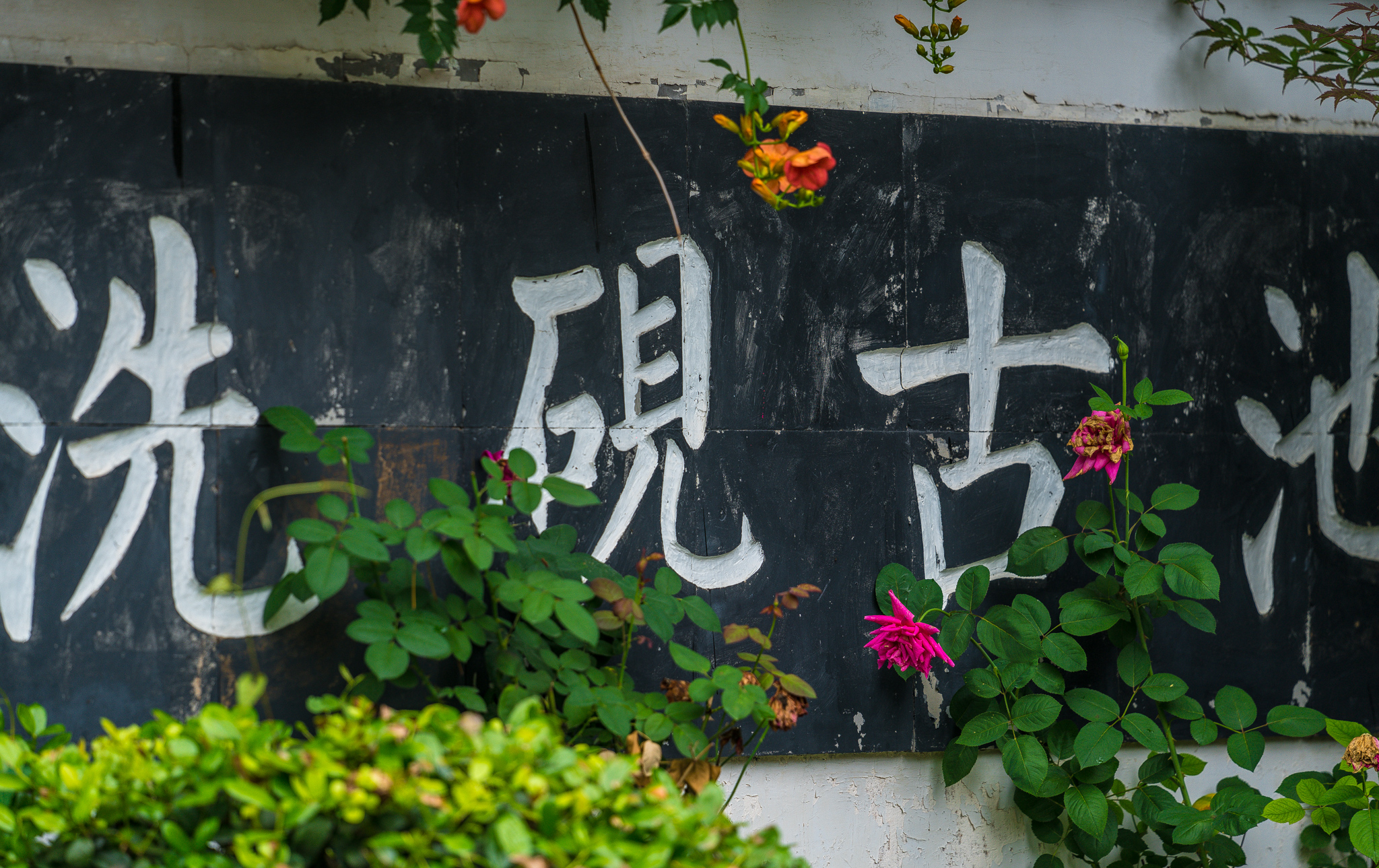 无锡夏日避暑胜地,无锡合适周末玩的公园