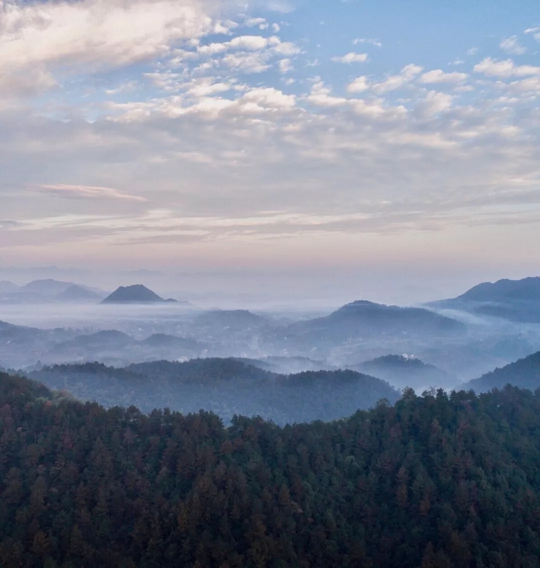 安吉绿城桃花源方竹园别墅户型图,安吉绿城桃花源隐竹园500平