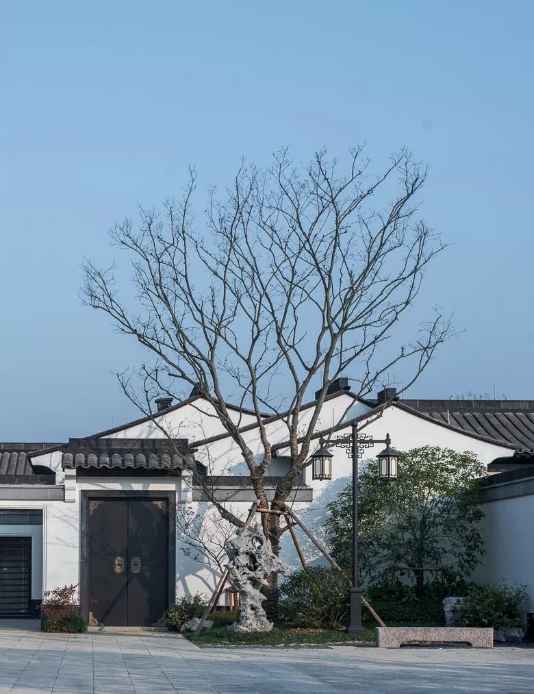 安吉绿城桃花源方竹园别墅户型图,安吉绿城桃花源隐竹园500平