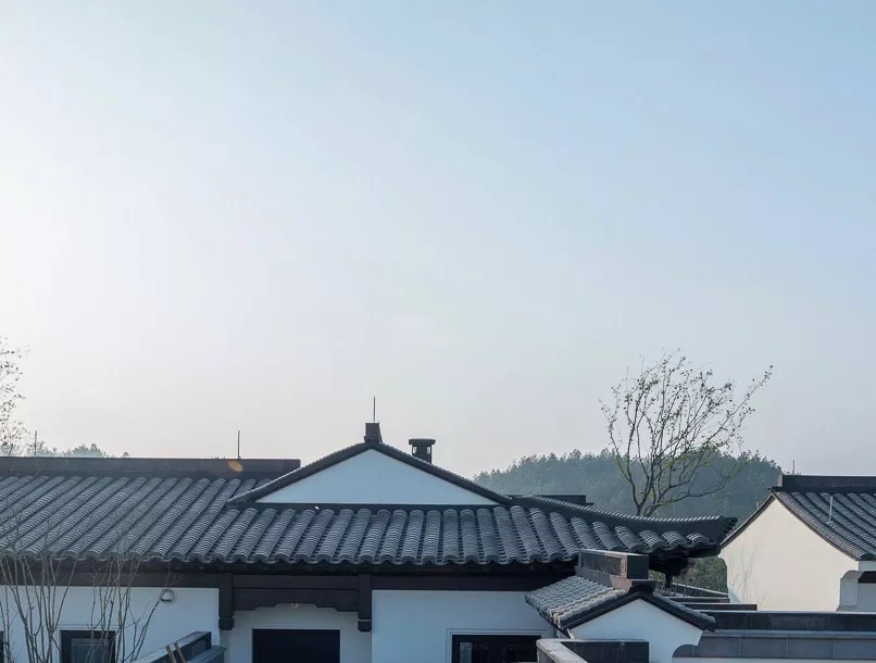 安吉绿城桃花源方竹园别墅户型图,安吉绿城桃花源隐竹园500平