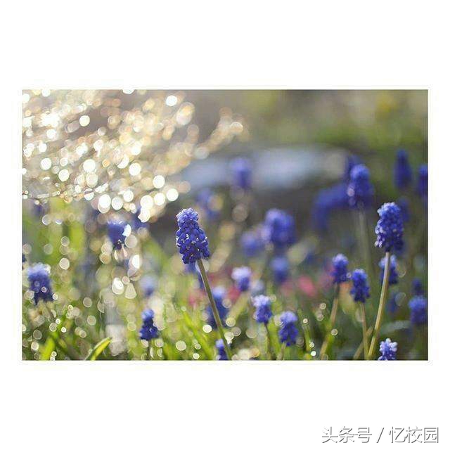 合适做qq签名的经典句子,合适做qq签名的句子短句