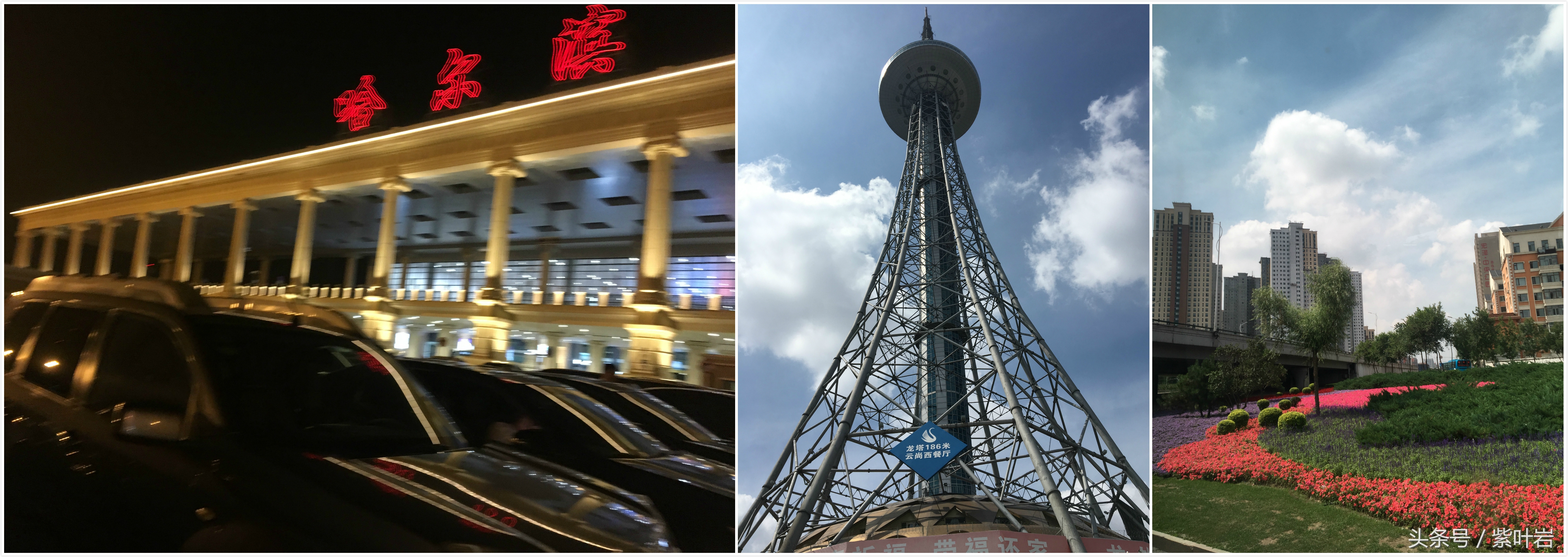 哈尔滨呼伦贝尔之旅,夏日旅行哈尔滨