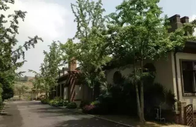 重庆这些“土豪”学校，从幼儿园开始就读不起了……
