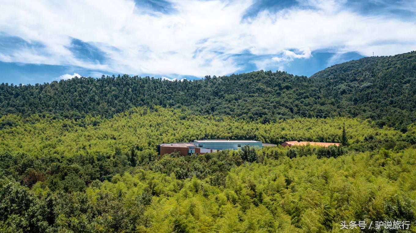 江苏唯一道教胜地“茅山”，竹海林间，隐藏华东唯一的6大博物馆