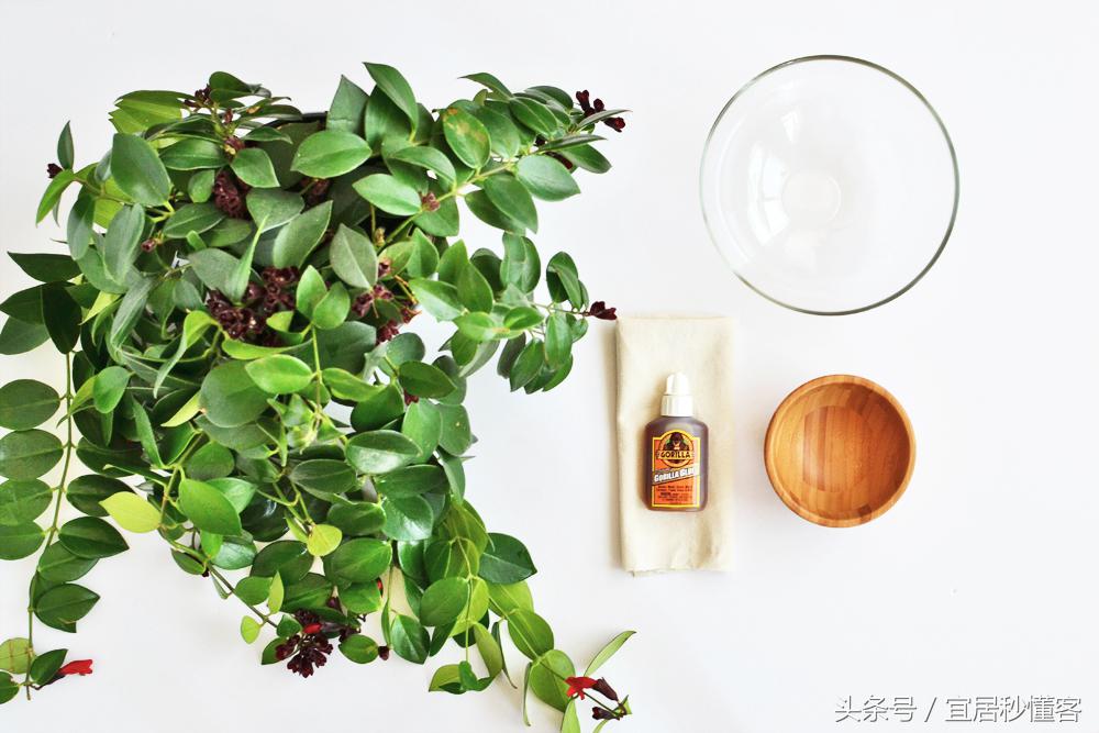 简单又好玩的宜家绿植花器改造，你也能够做