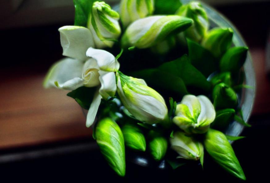 我能够穷但不能够怂,做人能够穷但是不能骗人