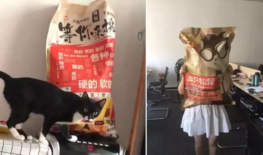 三只松鼠遵循了哪些营销概念,三只松鼠是如何营销的