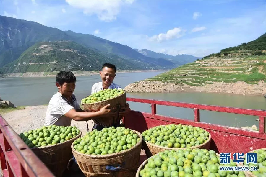 十九大以来以习*平近**同志为核心的*党**中央坚定不移推进全面深化改革述评