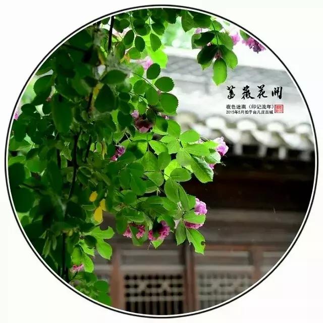 前缘如梦听书全集,前缘如梦小说全名