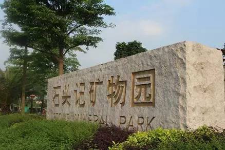 广州值得去的湿地公园,广州湿地公园拍摄