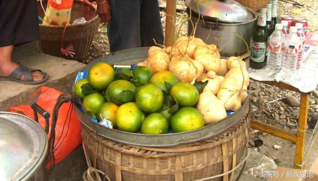 乡村小创业合适做什么生意,农村夫妻档创业做什么生意好