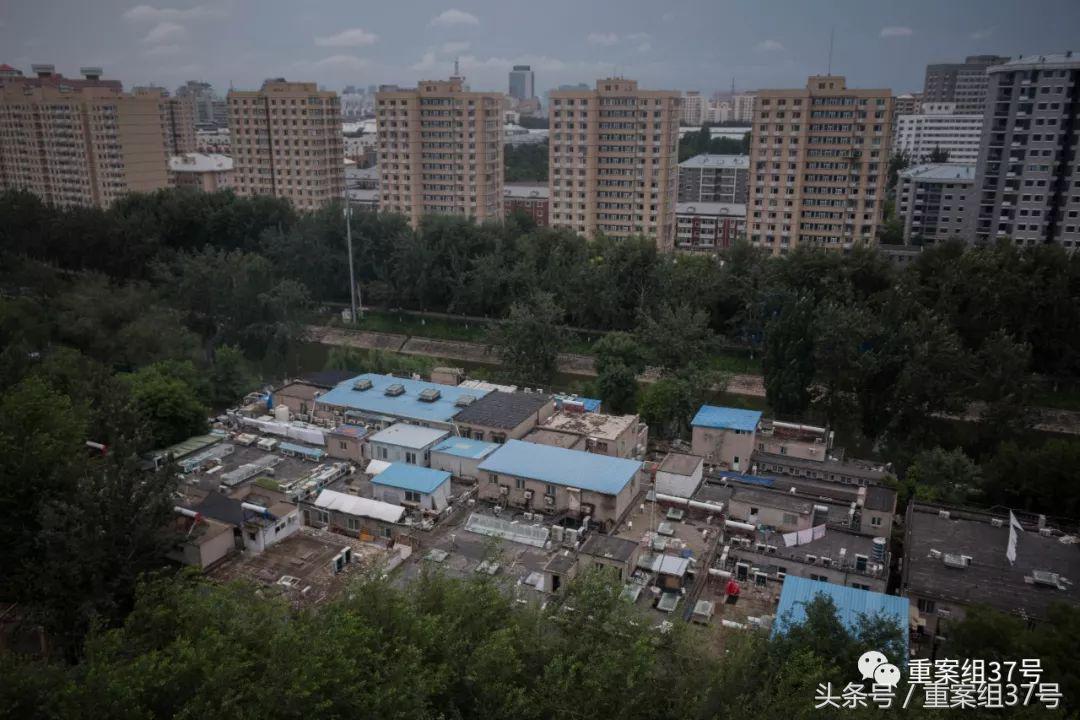 为什么癌症患者拼命找药,绝症患者抱团取暖