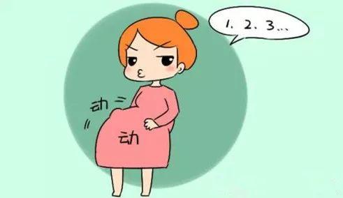 孕妈不会数胎动怎么办,不会数胎动怎么用胎心监护仪