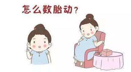 孕妈不会数胎动怎么办,不会数胎动怎么用胎心监护仪