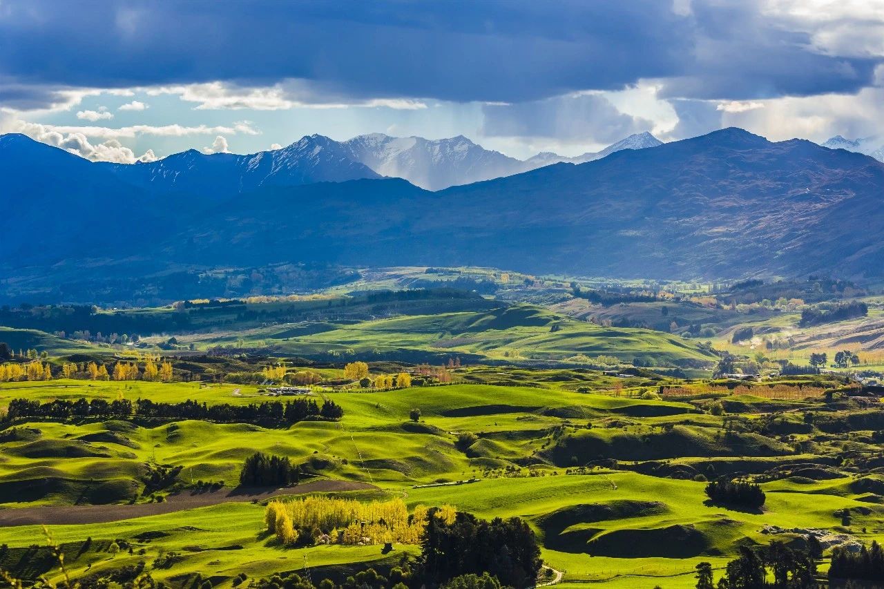 美纳多欲做新西兰奶粉“第一品牌”，底气何来？