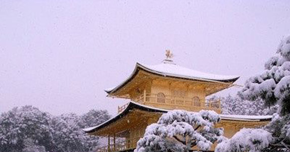 继母怀孕后父亲拒绝分我遗产，却不知那孩子并非他亲生