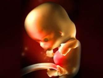 孕8周妈妈身体有什么变化,8周宝宝孕妈妈应该注意什么