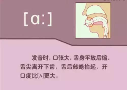 音标教学视频48个,夏沫英语48个音标教学视频