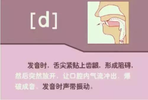 音标教学视频48个,夏沫英语48个音标教学视频