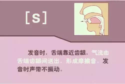 音标教学视频48个,夏沫英语48个音标教学视频