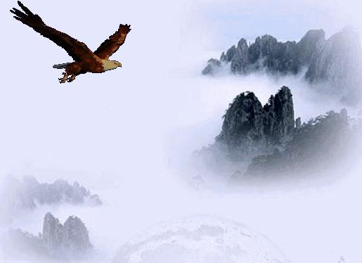 兄弟不要问我过得好不好,不要问我过得好不好原唱