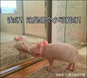 美白丸内服全身美白真能变白吗,赫熙美白丸真的能够美白吗