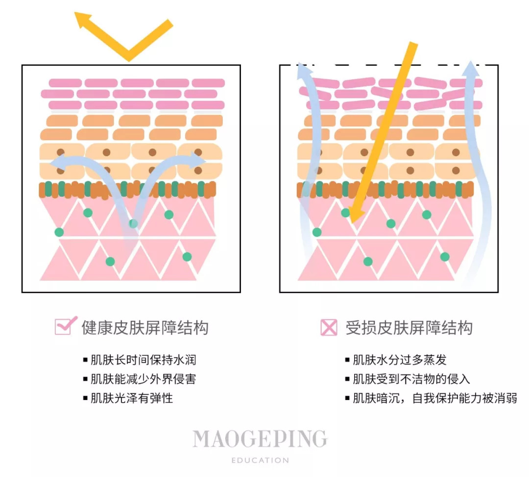 拯救敏感肌肤的方法,拯救敏感肌淡化细纹