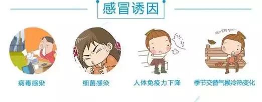 复方氨酚烷胺一天两次,复方氨酚烷胺不建议吃