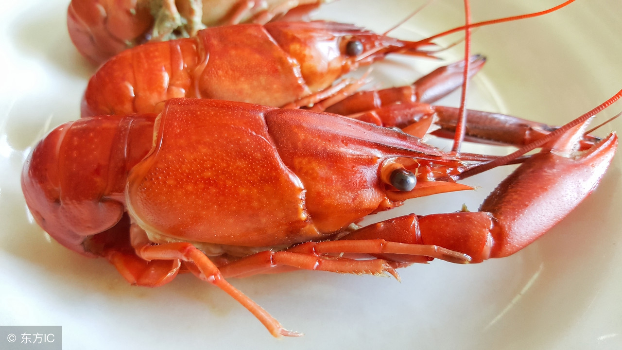 尿酸高吃什么食物药物能降低尿酸,尿酸高禁吃哪些食物尽量详细一些