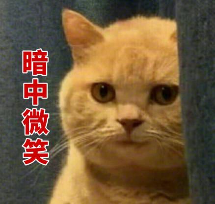 绾厓鐪熷亣杈ㄥ埆,绾厓鎬庝箞閴村畾鐪熷亣