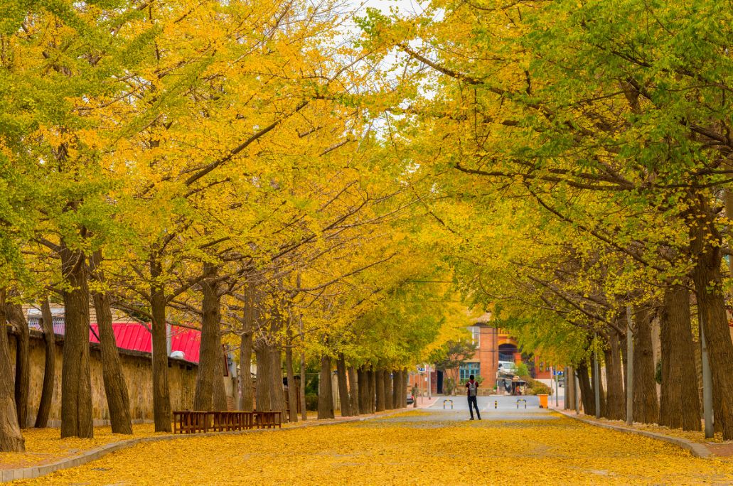 我存了256G的小黄片想和你深夜一起看