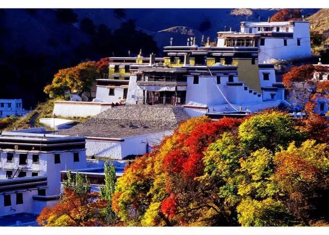 呼和浩特看秋景去哪里玩,呼和浩特秋景打卡地