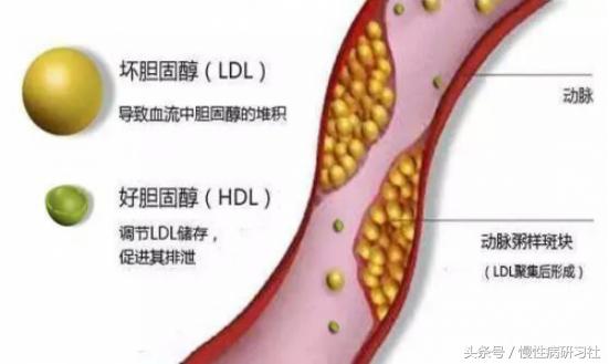 榴莲虽好，但多吃后也会有这五种问题！