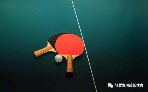 青少年体育教育问题,体育融入青少年教育