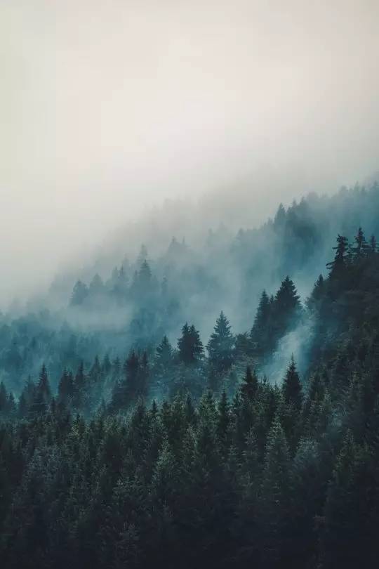 王维最美的20首诗：诗中有画，句句皆禅
