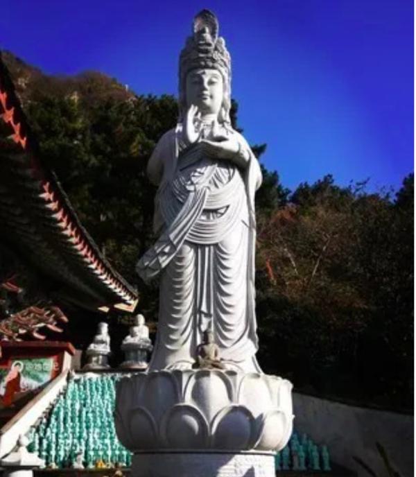 济州岛一年往返12次,到济州岛旅行行程