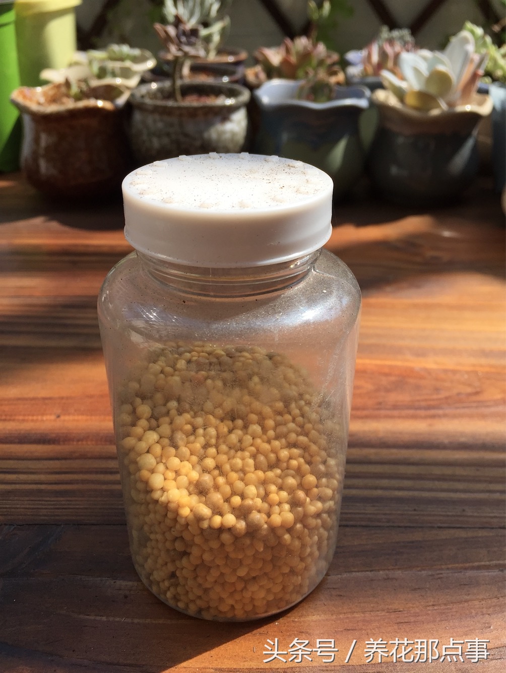 养花就离不开施肥，这6种常见的养花肥料您用过几种
