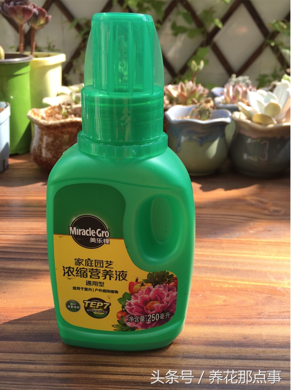 养花就离不开施肥，这6种常见的养花肥料您用过几种