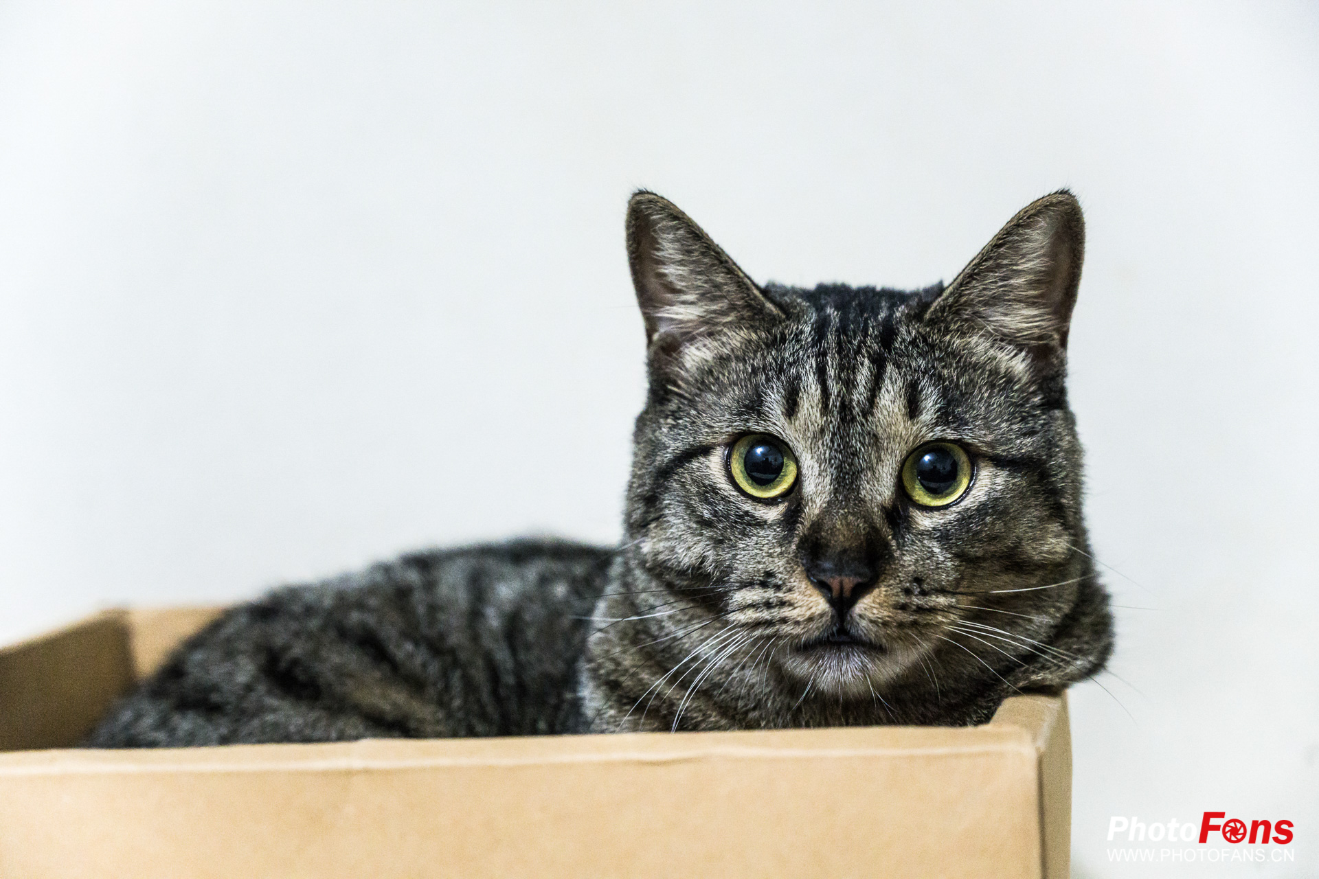 摄影师老武讲尼康z7,吴师自通尼康z7摄影教程全集