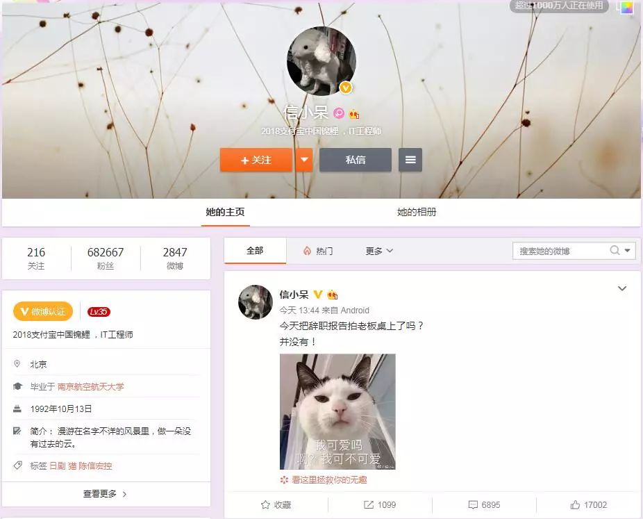 中国锦鲤内容,最近的中国锦鲤是什么