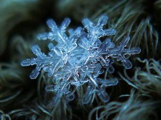 冰雪世界创意画教案,幼儿园冰雪世界绘画