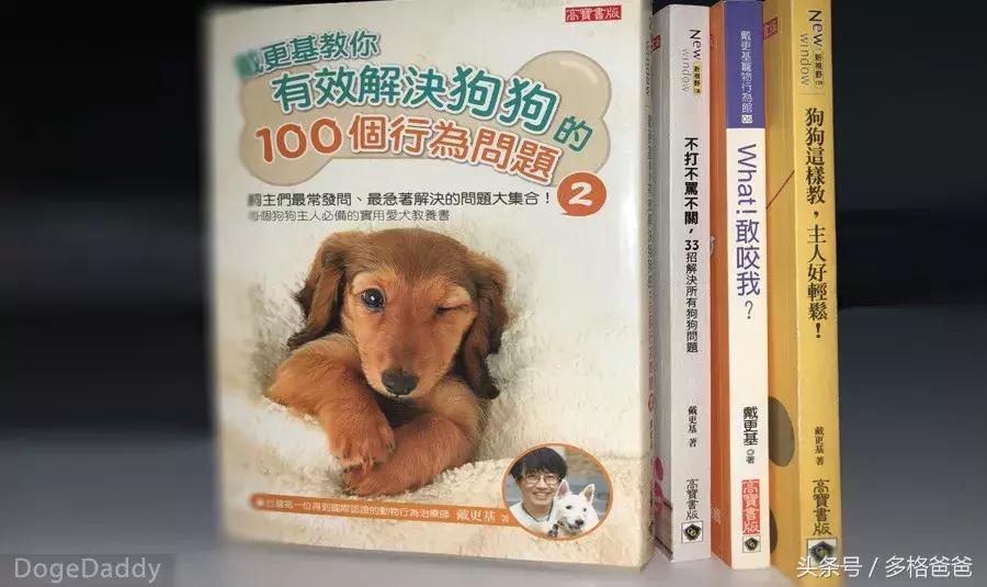 犬舍买狗需要注意什么问题和细节,买幼犬要注意哪些