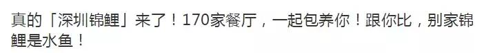 18年的锦鲤活动有哪些,锦鲤的活动在哪里